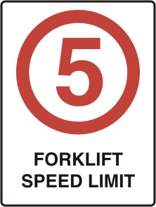 FS 3